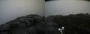 ./images/calvert/buxton2/20201028/buxton220201028_115503M.jpg