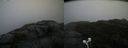 ./images/calvert/buxton2/20201028/buxton220201028_120003M.jpg