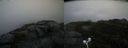 ./images/calvert/buxton2/20201028/buxton220201028_150503M.jpg