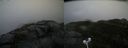 ./images/calvert/buxton2/20201028/buxton220201028_151003M.jpg