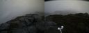 ./images/calvert/buxton2/20201028/buxton220201028_165503M.jpg