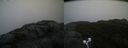 ./images/calvert/buxton2/20201028/buxton220201028_171003M.jpg