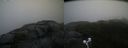 ./images/calvert/buxton2/20201028/buxton220201028_172003M.jpg