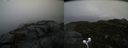 ./images/calvert/buxton2/20201117/buxton220201117_140003M.jpg