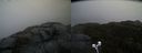./images/calvert/buxton2/20210101/buxton220210101_122503M.jpg