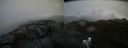 ./images/calvert/buxton2/20210108/buxton220210108_111503M.jpg