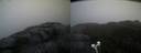 ./images/calvert/buxton2/20210119/buxton220210119_084503M.jpg