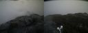 ./images/calvert/buxton2/20210119/buxton220210119_111003M.jpg