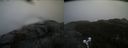 ./images/calvert/buxton2/20210119/buxton220210119_113503M.jpg