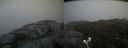 ./images/calvert/buxton2/20210123/buxton220210123_134503M.jpg