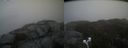 ./images/calvert/buxton2/20210123/buxton220210123_135003M.jpg
