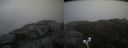 ./images/calvert/buxton2/20210123/buxton220210123_140503M.jpg