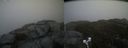 ./images/calvert/buxton2/20210123/buxton220210123_141003M.jpg