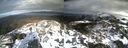 ./images/calvert/buxton2/20210213/buxton220210213_150503M.jpg