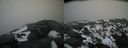 ./images/calvert/buxton2/20210221/buxton220210221_143503M.jpg