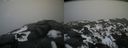 ./images/calvert/buxton2/20210221/buxton220210221_144503M.jpg