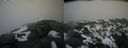 ./images/calvert/buxton2/20210221/buxton220210221_145503M.jpg