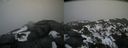 ./images/calvert/buxton2/20210221/buxton220210221_151003M.jpg
