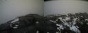 ./images/calvert/buxton2/20210221/buxton220210221_174503M.jpg