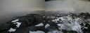 ./images/calvert/buxton2/20210304/buxton220210304_160502M.jpg