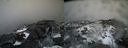./images/calvert/buxton2/20210305/buxton220210305_172503M.jpg