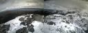 ./images/calvert/buxton2/20210306/buxton220210306_134002M.jpg