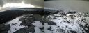 ./images/calvert/buxton2/20210306/buxton220210306_175502M.jpg