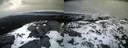./images/calvert/buxton2/20210306/buxton220210306_183502M.jpg