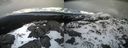 ./images/calvert/buxton2/20210307/buxton220210307_163503M.jpg