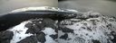 ./images/calvert/buxton2/20210307/buxton220210307_164003M.jpg