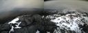 ./images/calvert/buxton2/20210312/buxton220210312_114502M.jpg