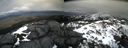 ./images/calvert/buxton2/20210312/buxton220210312_124503M.jpg