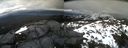./images/calvert/buxton2/20210312/buxton220210312_173503M.jpg