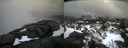 ./images/calvert/buxton2/20210318/buxton220210318_145003M.jpg