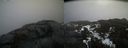 ./images/calvert/buxton2/20210327/buxton220210327_101503M.jpg