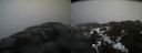 ./images/calvert/buxton2/20210327/buxton220210327_115502M.jpg