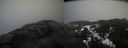 ./images/calvert/buxton2/20210327/buxton220210327_121503M.jpg