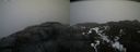 ./images/calvert/buxton2/20210327/buxton220210327_144503M.jpg