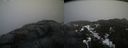 ./images/calvert/buxton2/20210327/buxton220210327_174003M.jpg