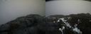 ./images/calvert/buxton2/20210327/buxton220210327_182503M.jpg