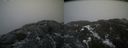 ./images/calvert/buxton2/20210328/buxton220210328_120002M.jpg
