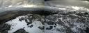 ./images/calvert/buxton2/20210401/buxton220210401_145003M.jpg