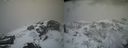 ./images/calvert/buxton2/20210402/buxton220210402_100002M.jpg
