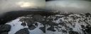 ./images/calvert/buxton2/20210405/buxton220210405_192003M.jpg