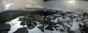 ./images/calvert/buxton2/20210406/buxton220210406_140505M.jpg