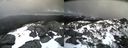 ./images/calvert/buxton2/20210406/buxton220210406_145003M.jpg