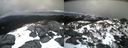 ./images/calvert/buxton2/20210406/buxton220210406_150503M.jpg