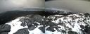 ./images/calvert/buxton2/20210406/buxton220210406_152002M.jpg