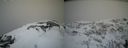 ./images/calvert/buxton2/20210407/buxton220210407_104002M.jpg