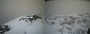./images/calvert/buxton2/20210407/buxton220210407_105502M.jpg